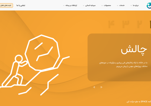 Web Development Package Example: TATA Enterprise group