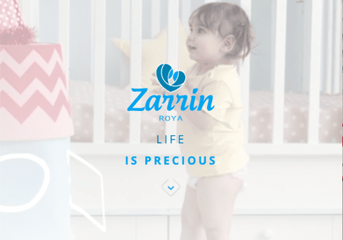 Web Design Package Example: Zarrin Roya industrial group