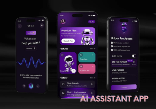 AI Development Package Example: AI Assistant Application