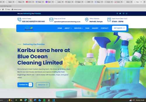Web Development Package Example: Cleaning Agency