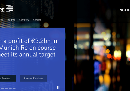 UX/UI Design Package Example: Munich Re – A Single Lens on Global Reinsurance Ri