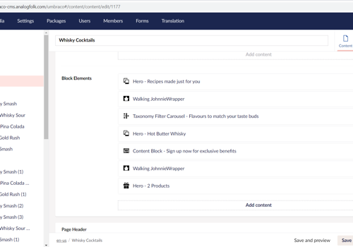 Web Development Package Example: Umbraco development