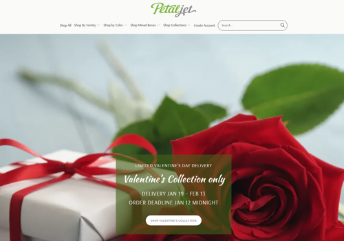 Advertising Package Example: Petaljet full-cycle + AI SEO optimisation