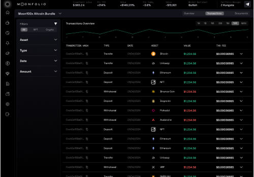 Web Design Package Example: Moonfolio