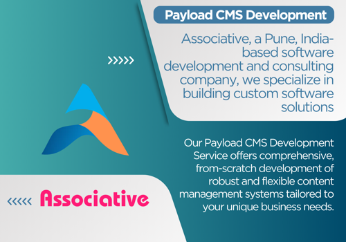Custom Software Development Package Example: Payload CMS Development Service