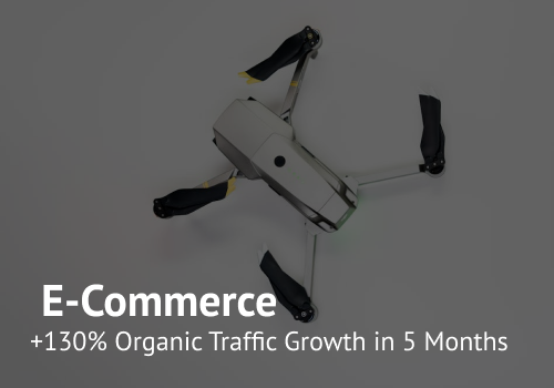 Search Engine Optimization Package Example: +130% Organic Traffic Growth in 5 Months