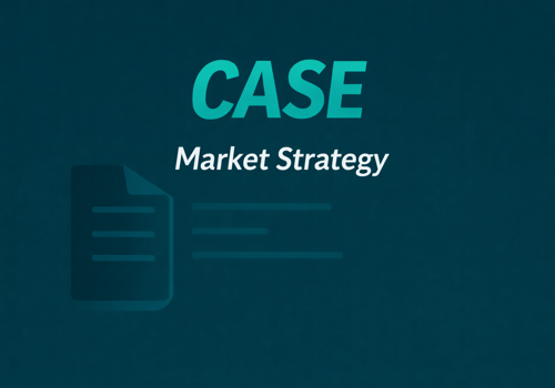 Marketing Strategy Package Example: Market Strategy&Market Research - business service
