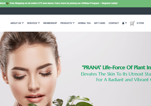 Web Design Package Example: Earth Radiance Holistic Wellness & Spa Brand Web