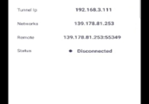 Mobile App Development Package Example: VPN Apps for Secure Networking