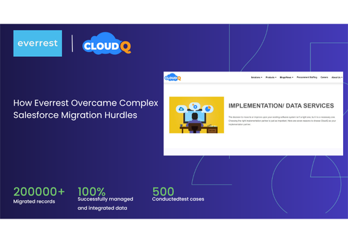 CRM Consulting and SI Package Example: Complex Salesforce Migration & Metadata Transfer