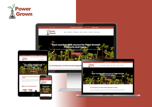 Web Design Package Example: Power Grown