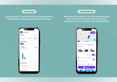 Web Design Package Example: Dispatch Pro B2B Taxi Dispatch & Fleet Management