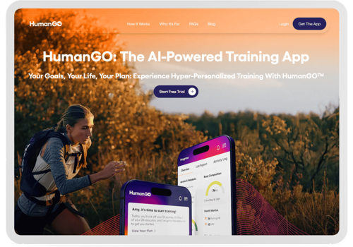 Translation Package Example: Case Study: HumanGo