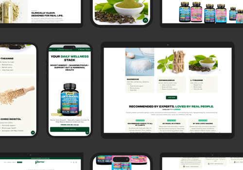 Web Design Package Example: PARROX