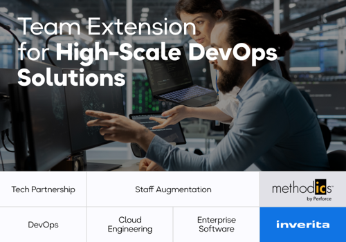Web Development Package Example: Team Extension for IPLM Management Company