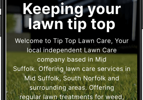 Web Design Package Example: Website for local lawn care company