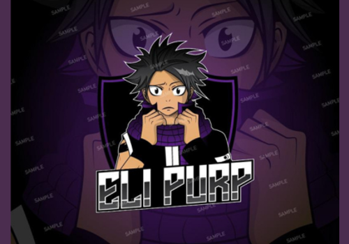 Logo Package Example: Custom Anime Logo Design for Gaming Brand Eli Purp