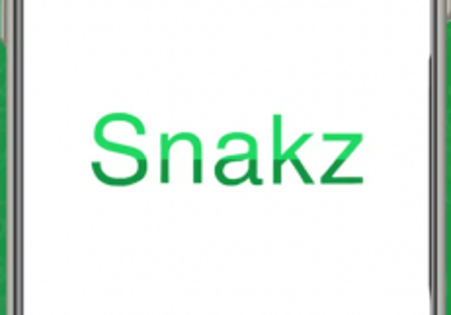 Mobile App Development Package Example: Snakz