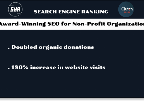 Search Engine Optimization Package Example: Award-Winning SEO for Non-Profit Organization