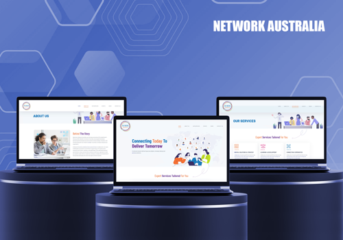 Web Development Package Example: Network Australia: Consultancy Firm