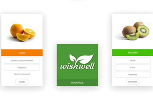 DevOps Managed Services Package Example: Plant-Based Health & Wellness App|| Bash | Nginx