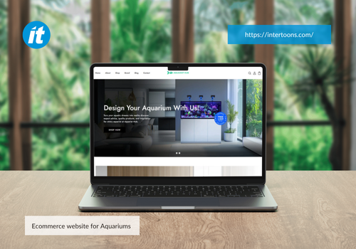 Web Design Package Example: Aquvaristhub