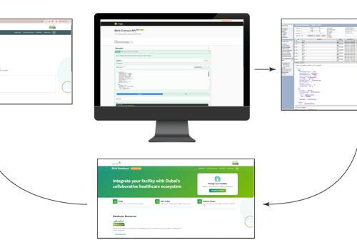 IT Strategy Consulting Package Example: NABIDH DHA Compliant Healthcare Data Integration