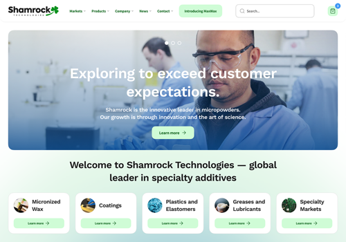 Branding Package Example: Logo & Website Redesign for Chemical Manufacturer
