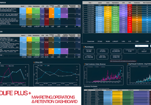 BI & Big Data Consulting & SI Package Example: Dashboard Analytics for Subscription Business