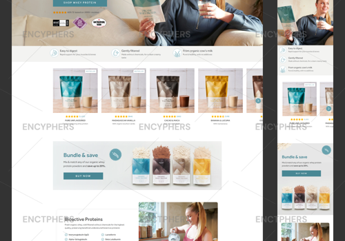 Web Design Package Example: THE ORGANIC PROTEIN Co