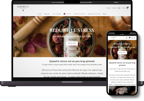 Web Development Package Example: WooCommerce to Shopify Migration for Wellness Bran