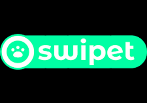 AI Consulting Package Example: Intelligent Automation for Swipet