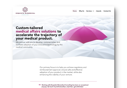 Branding Package Example: Full Package Brand Strategy and Web Design Service