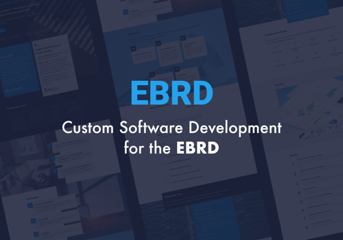 Custom Software Development Package Example: Custom Software Development Services for the EBRD