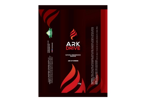 Packaging Design Package Example: Package design, 3D, product logo of Arkdrive