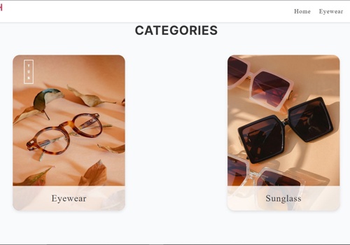 Web Development Package Example: Polish Eyewear