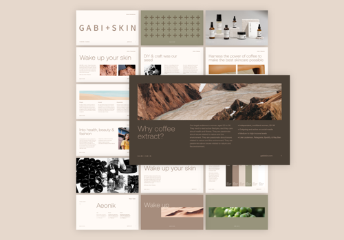 Web Design Package Example: GABI+SKIN