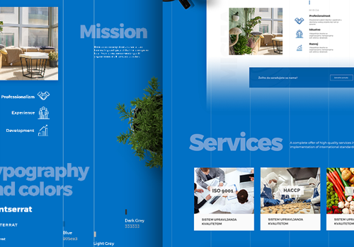 Web Design Package Example: ISO Consulting Company - Web Design, Development