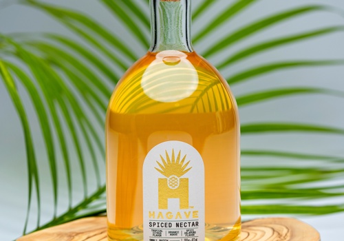 Branding Package Example: HAGAVE