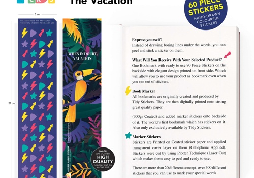 Branding Package Example: Complete Branding Project for Tidy Stickers