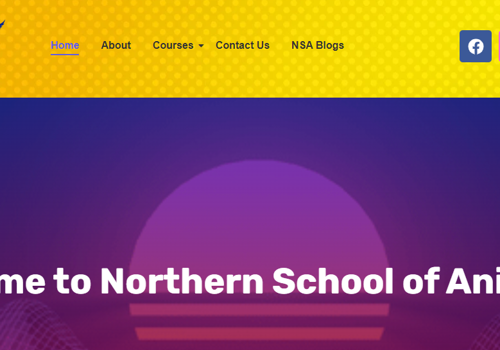 Digital Strategy Package Example: Increased User Engagement with NSA