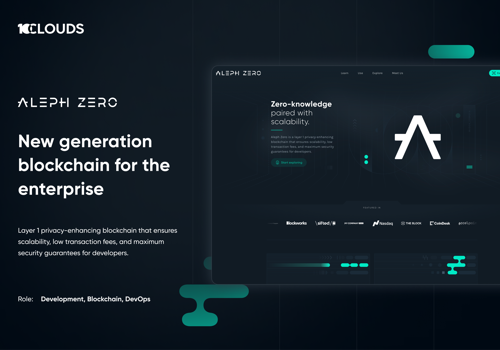 Custom Software Development Package Example: Aleph Zero - New generation blockchain