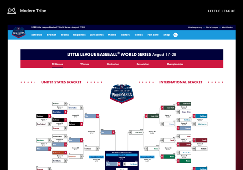 Web Design Package Example: Little League