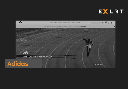 Custom Software Development Package Example: Adidas CMS