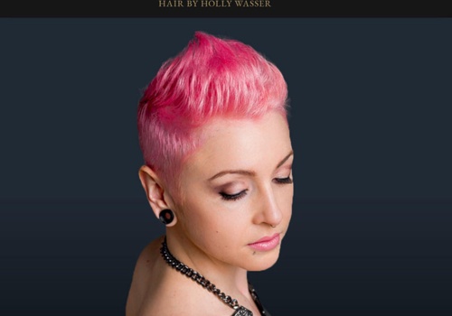 E-Commerce Development Package Example: Hair By Holly Wasser Booking Tool