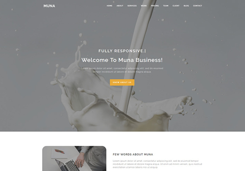 Web Design Package Example: Muna - Business Landing Page Template