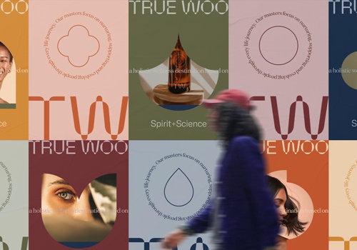 Branding Package Example: Brand Positioning & Identity Design for True Woo