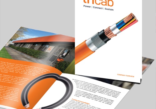 Graphic Design Package Example: Company Profile Design For TriCab