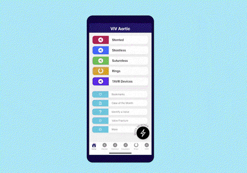UX/UI Design Package Example: ViV Apps