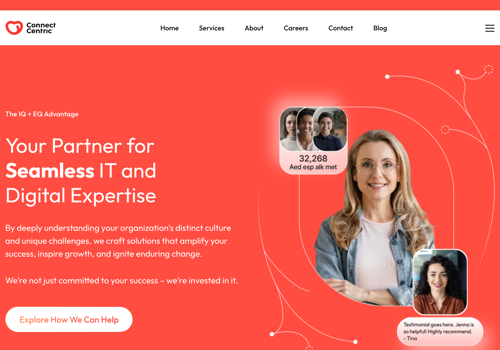 Web Development Package Example: WordPress Developer for a consultancy website